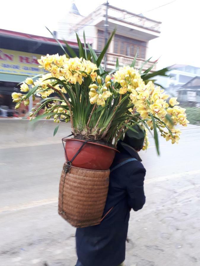 Thuan Ha Hotel Sapa Exterior foto